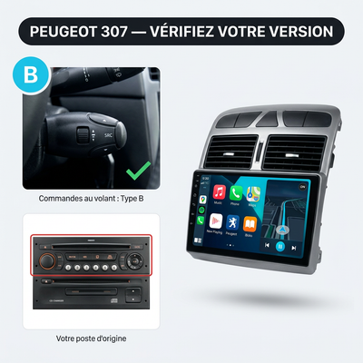 CarPlay Peugeot 307 (2002-2013) – TYPE B